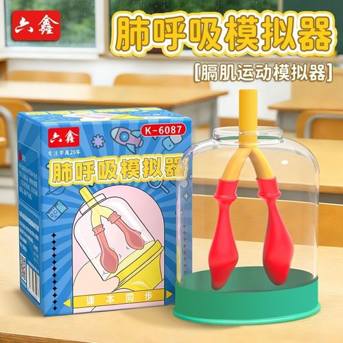呼吸模型运动模拟器 初中生物实验的得力教具